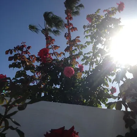 Femes * Maspalomas (Gran Canaria)